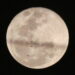 foto de luna llena con dos murcielagos volando en primer plano