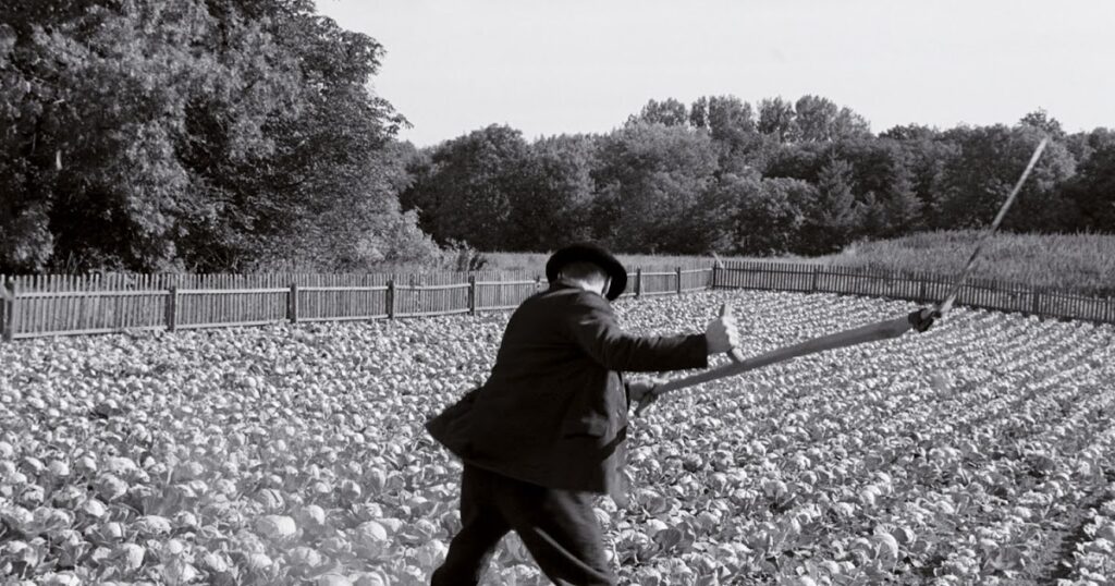 La guadaña Ray Brabury